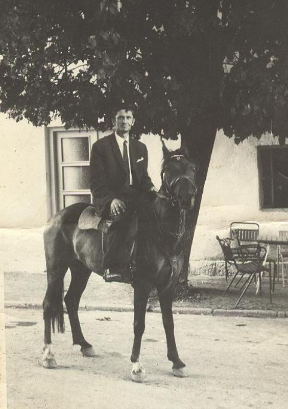 Trke konja