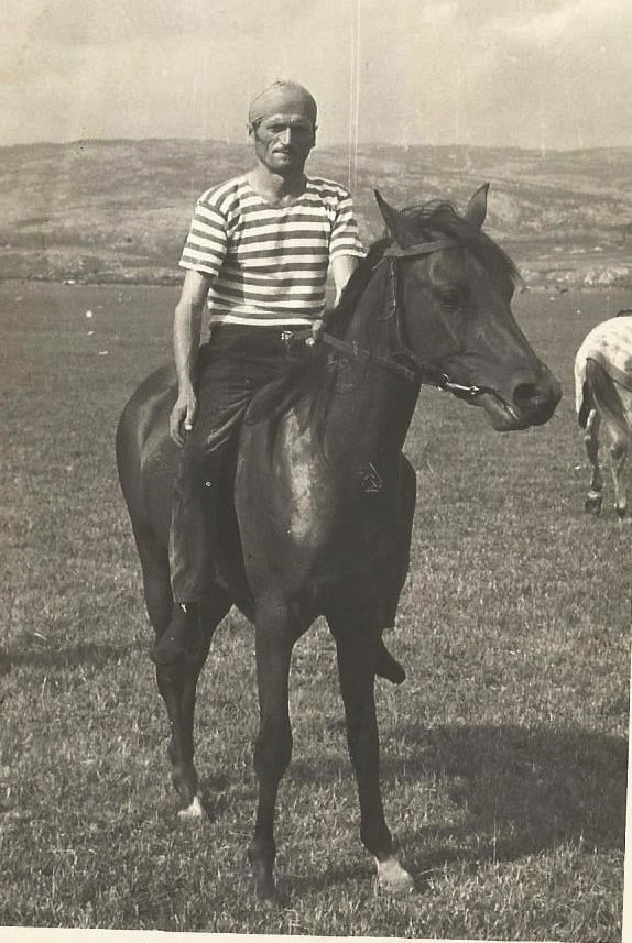 Trke konja