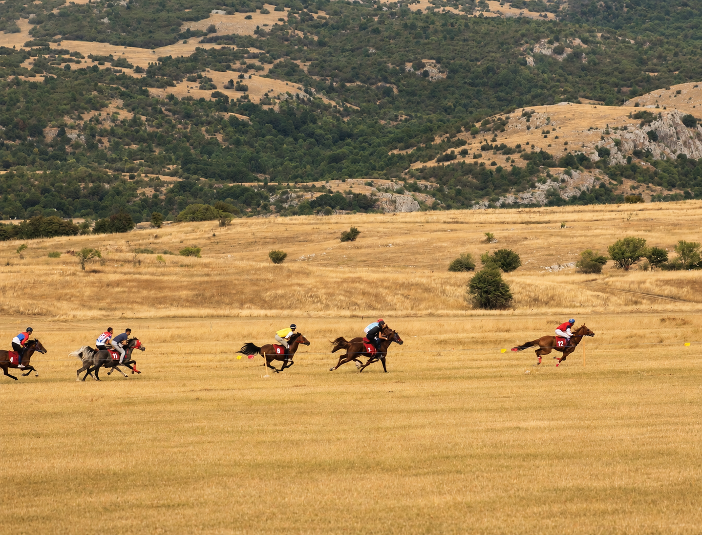 Horse races at Bratački Lug during the Nevesinje Olympics in Nevesinje